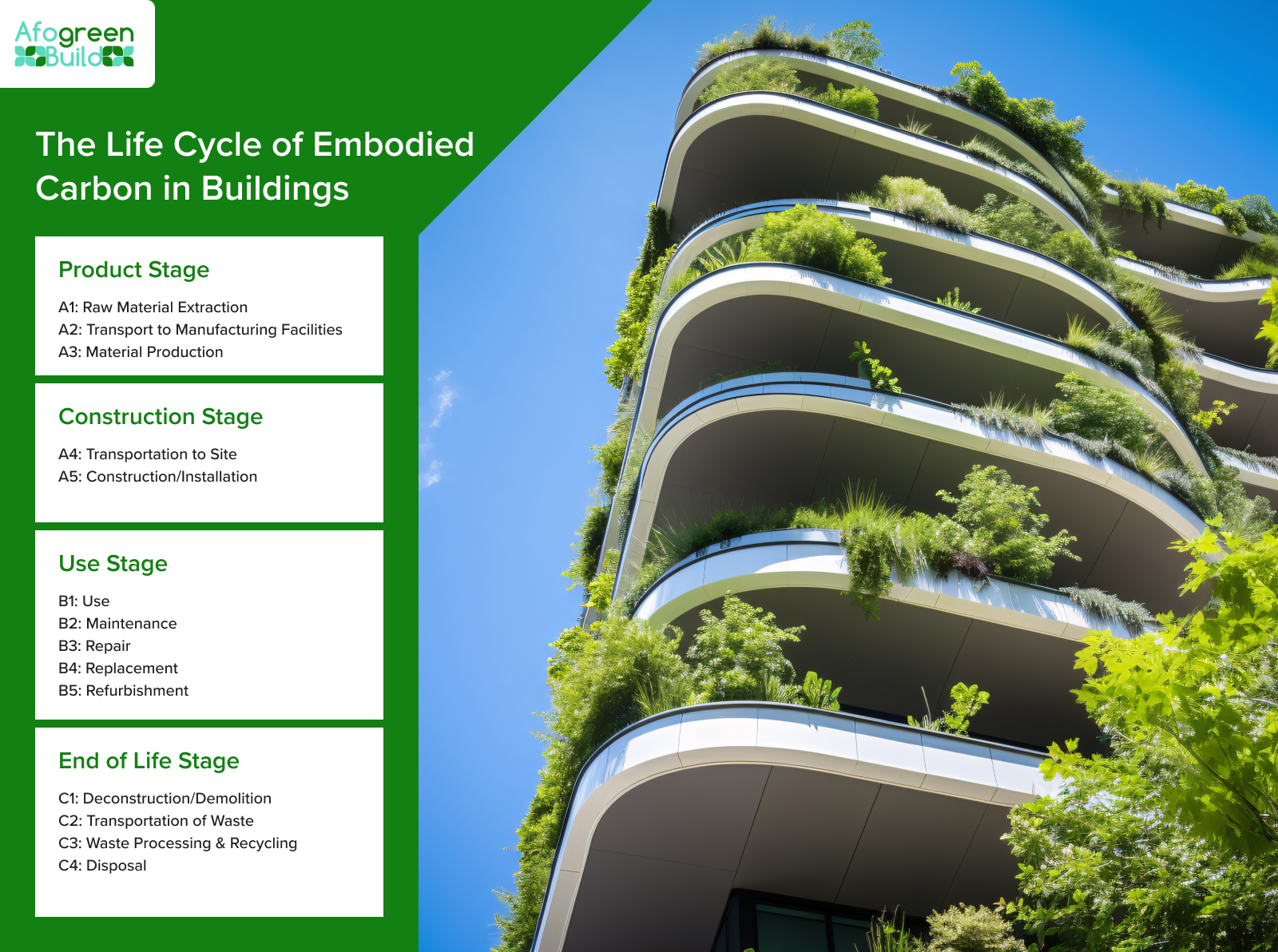 Green building facade with a carbon life cycle chart.